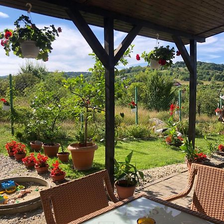 Pensiunea Casa Cu Flori Cisnadioara Bagian luar foto
