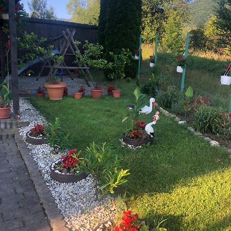 Pensiunea Casa Cu Flori Cisnadioara Bagian luar foto