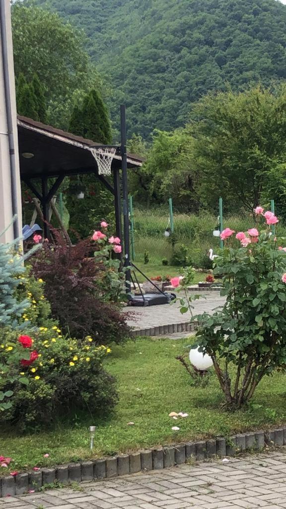 Pensiunea Casa Cu Flori Cisnadioara Bagian luar foto