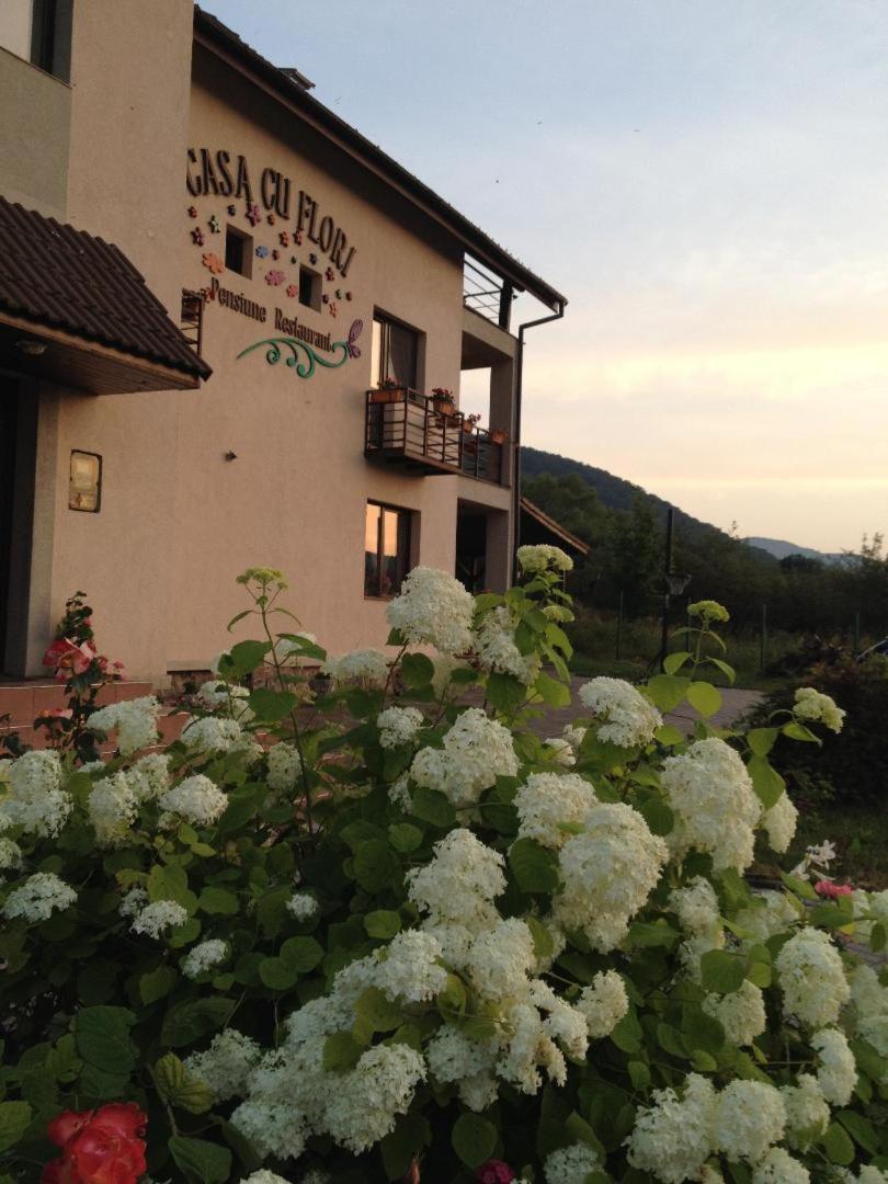 Pensiunea Casa Cu Flori Cisnadioara Bagian luar foto