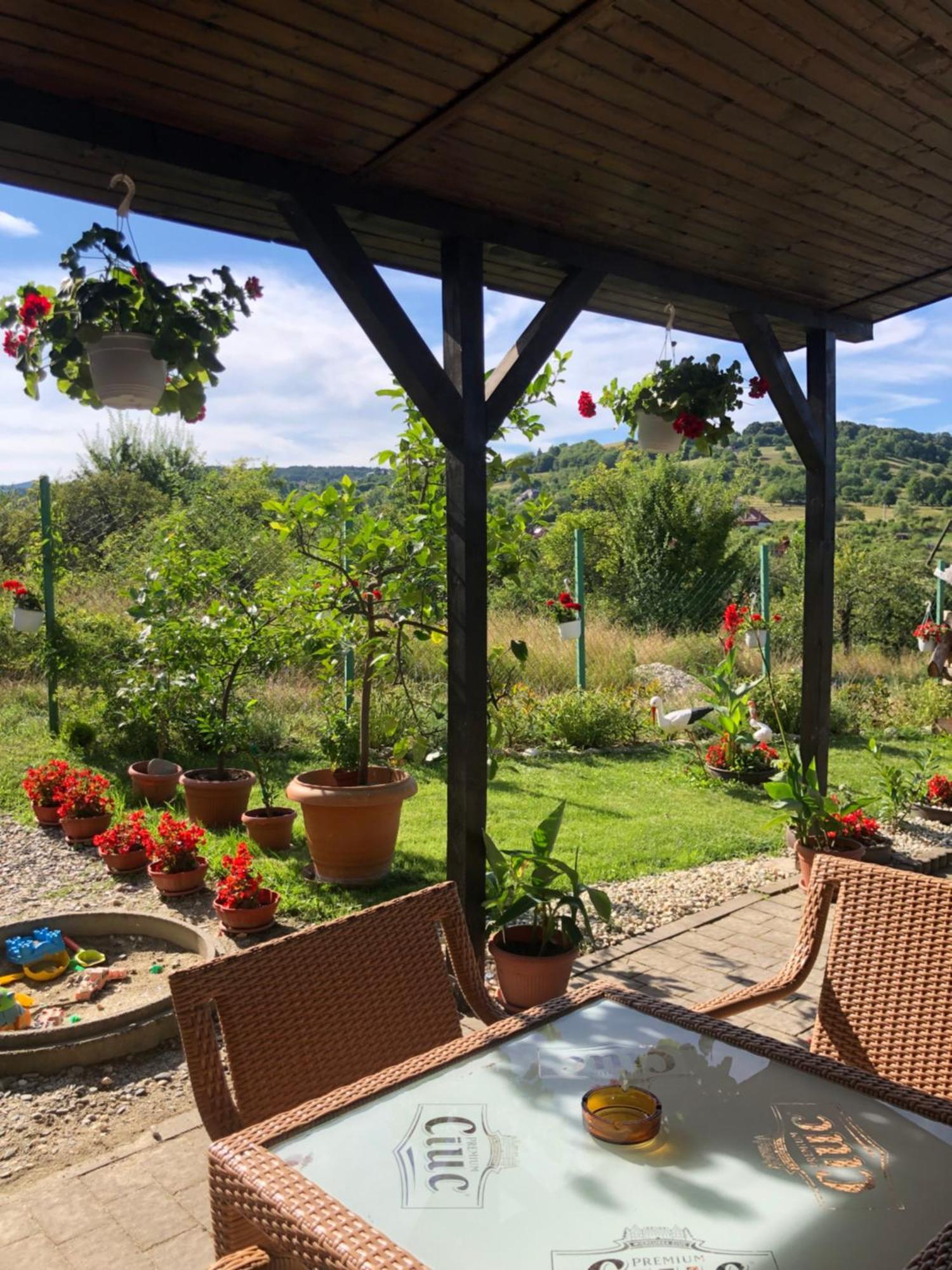 Pensiunea Casa Cu Flori Cisnadioara Bagian luar foto