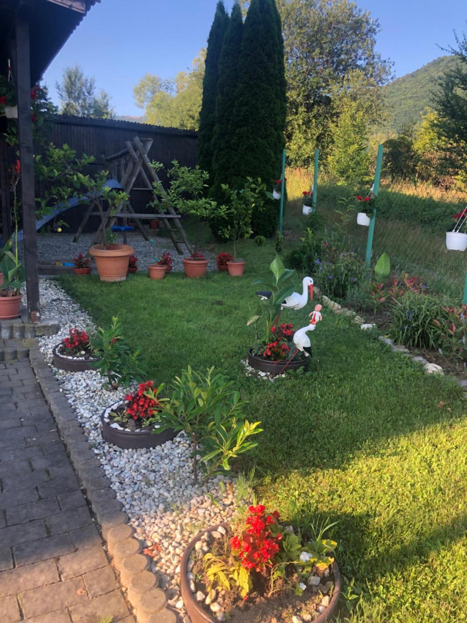 Pensiunea Casa Cu Flori Cisnadioara Bagian luar foto