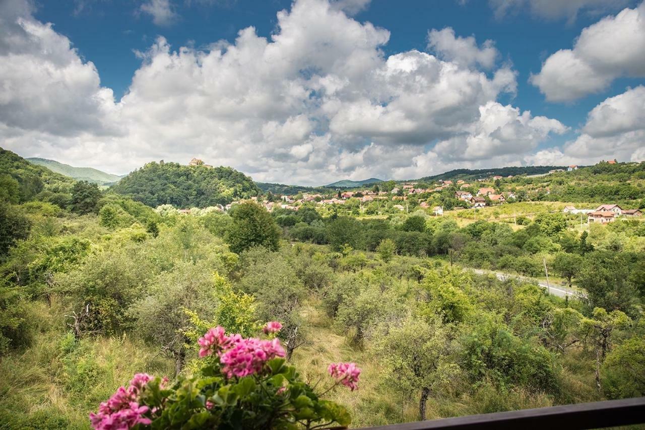 Pensiunea Casa Cu Flori Cisnadioara Bagian luar foto