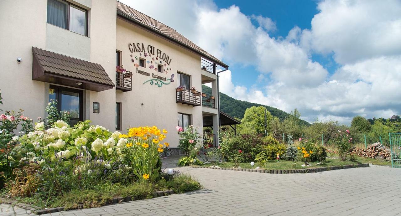 Pensiunea Casa Cu Flori Cisnadioara Bagian luar foto