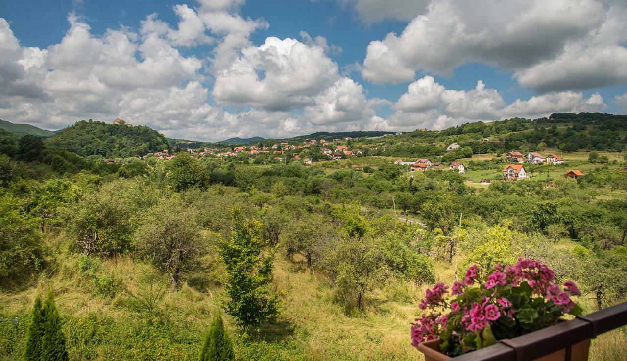 Pensiunea Casa Cu Flori Cisnadioara Bagian luar foto