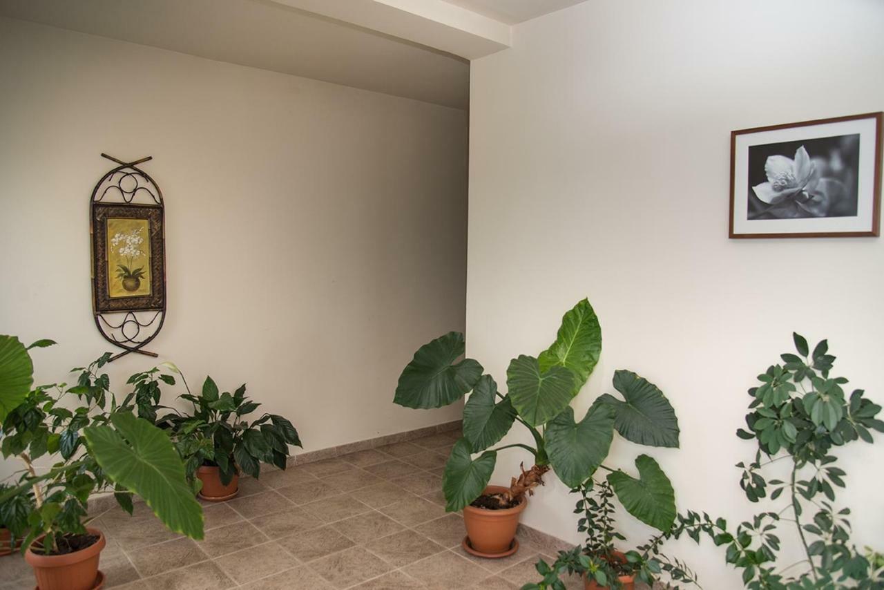 Pensiunea Casa Cu Flori Cisnadioara Bagian luar foto